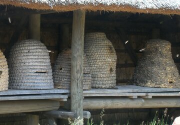 Cursus ambachtelijk korfimkeren