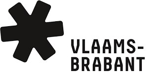 Cursus korfvlechten Vlaams-Brabant
